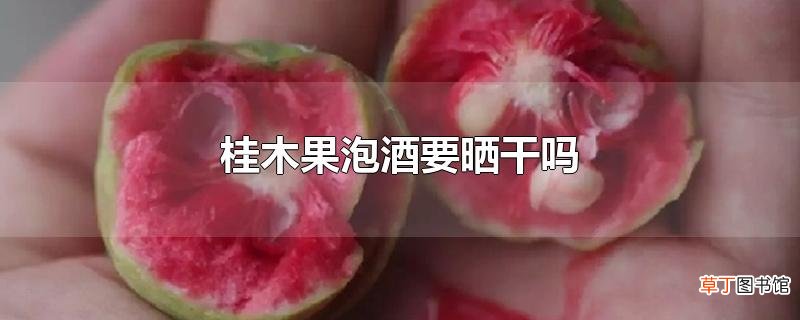 桂木果泡酒要晒干吗