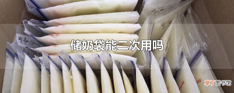 储奶袋能二次用吗