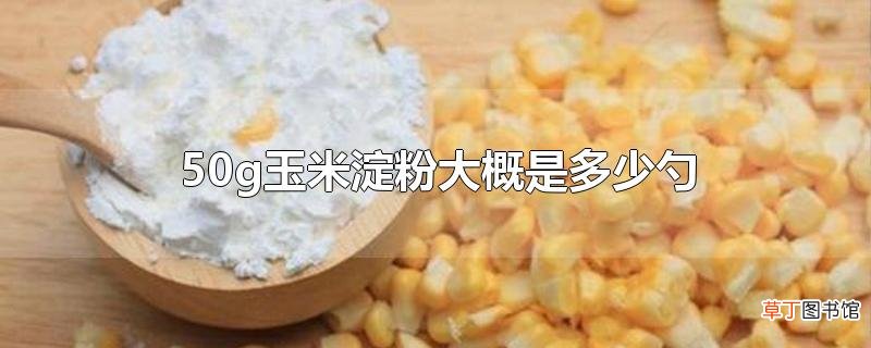 50g玉米淀粉大概是多少勺