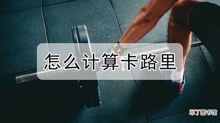 咋才可以计算卡路里