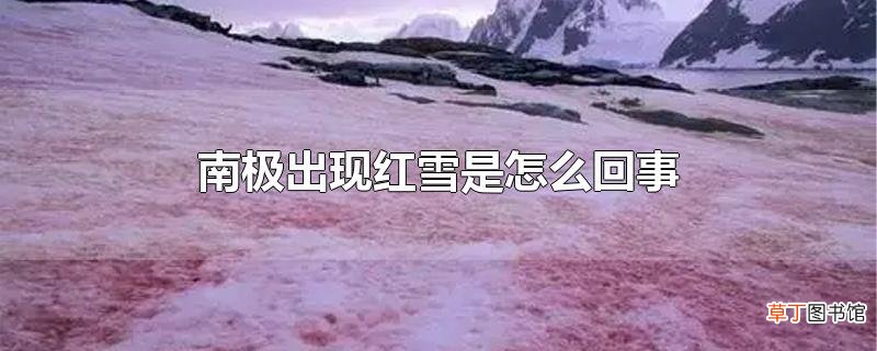 南极出现红雪是怎么回事