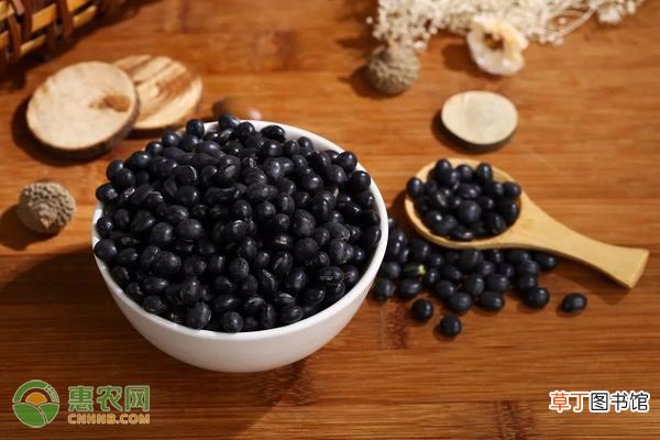 黑豆产地在哪里?黑豆主要分为哪几种?
