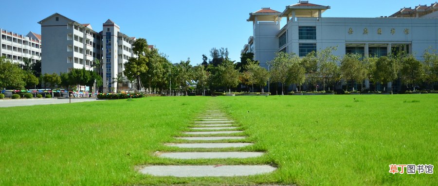 集美大学是985还是211