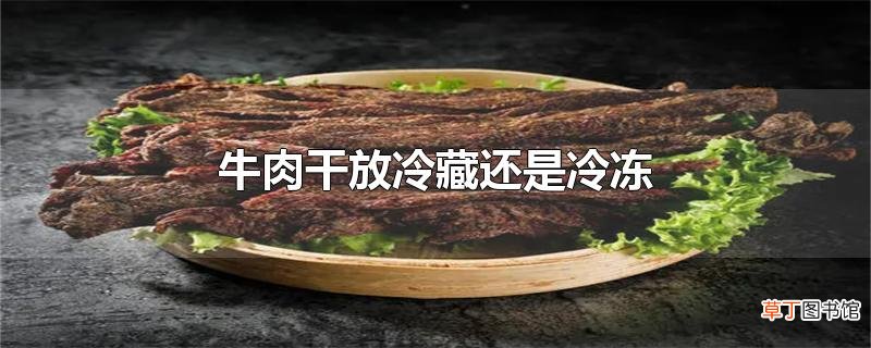 牛肉干放冷藏还是冷冻