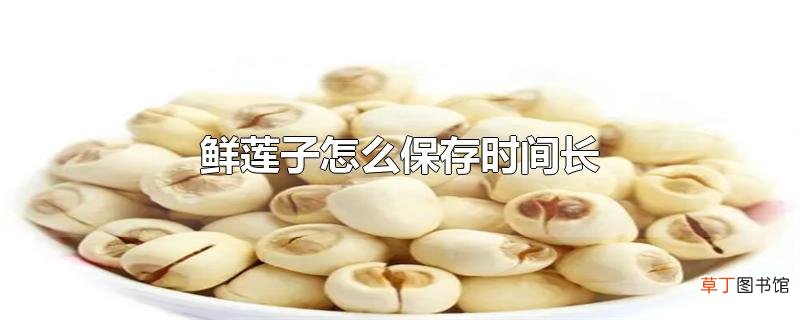 鲜莲子怎么保存时间长
