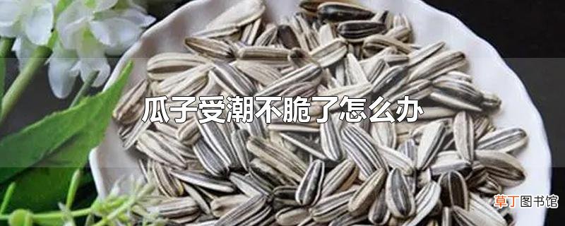 瓜子受潮不脆了怎么办