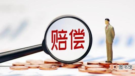 国家赔偿法2021年新标准 2021年最新国家赔偿标准公布