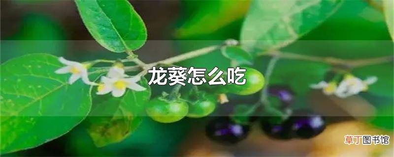 龙葵怎么吃