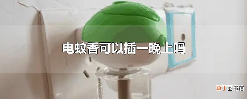电蚊香可以插一晚上吗