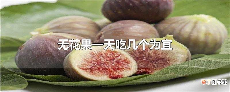 无花果一天吃几个为宜