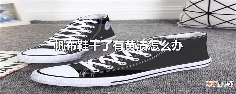 帆布鞋干了有黄渍怎么办