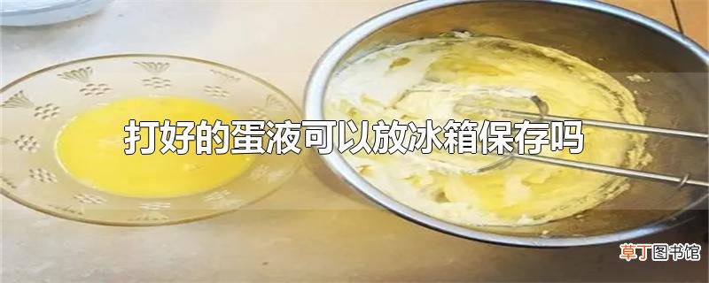 打好的蛋液可以放冰箱保存吗