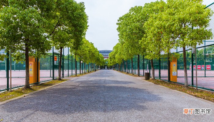 上海申大是哪所大学