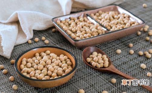 乳房的爱恨食物吃错胸越小 为乳房健康应少吃的食物