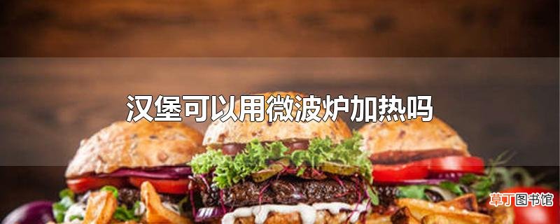 汉堡可以用微波炉加热吗