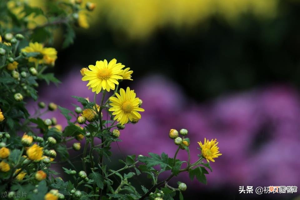 学生会面试自我介绍 要从这三个方面来介绍