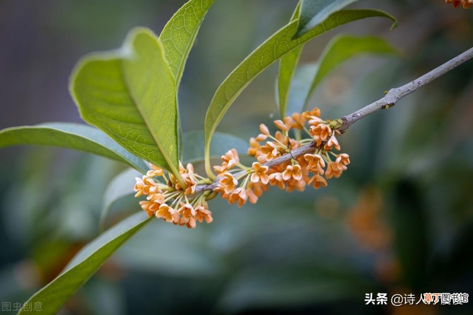 送爸爸礼物排行大全 5个实用的送父亲礼物推荐