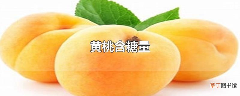 黄桃含糖量