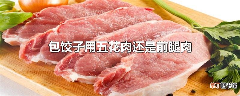 包饺子用五花肉还是前腿肉