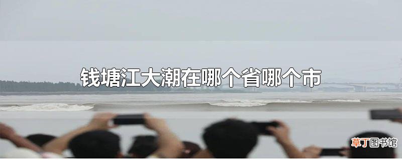 钱塘江大潮在哪个省哪个市