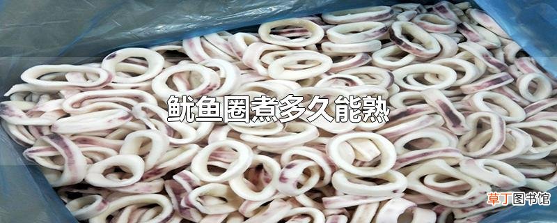 鱿鱼圈煮多久能熟