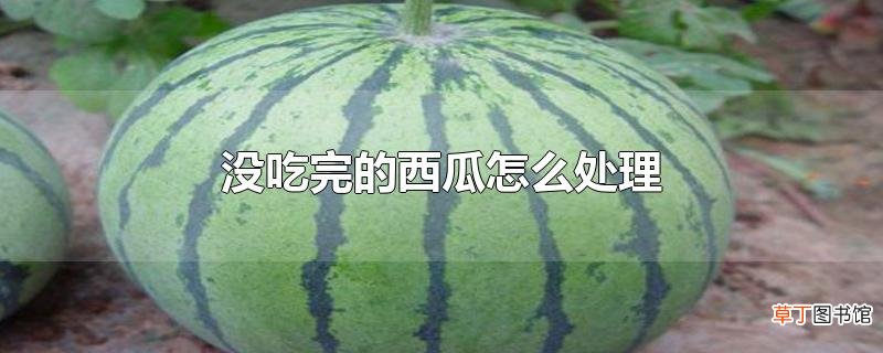 没吃完的西瓜怎么处理