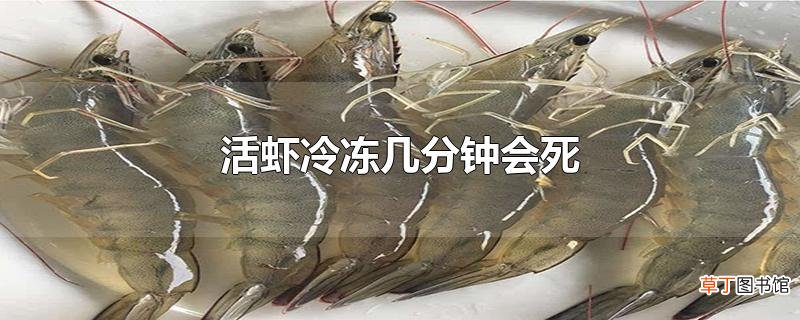 活虾冷冻几分钟会死