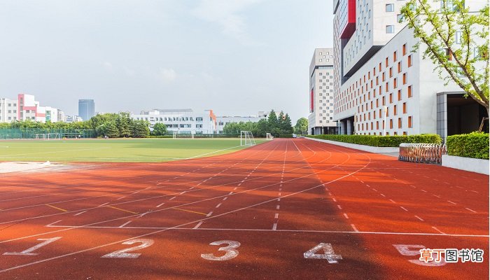 青农是什么大学