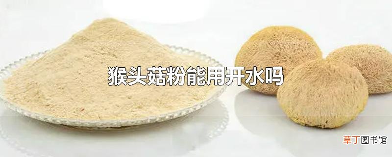 猴头菇粉能用开水吗