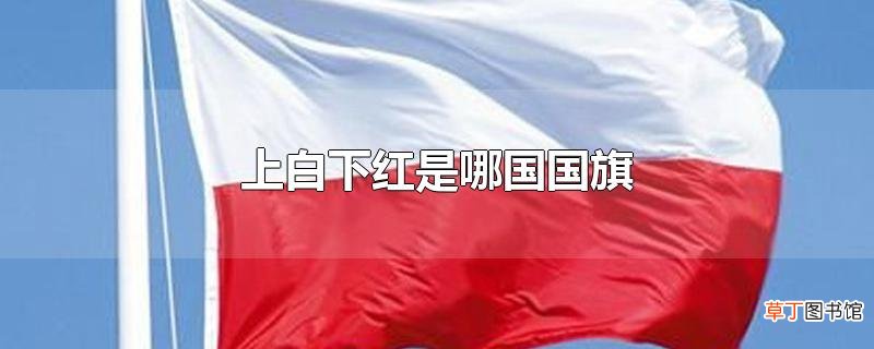 上白下红是哪国国旗