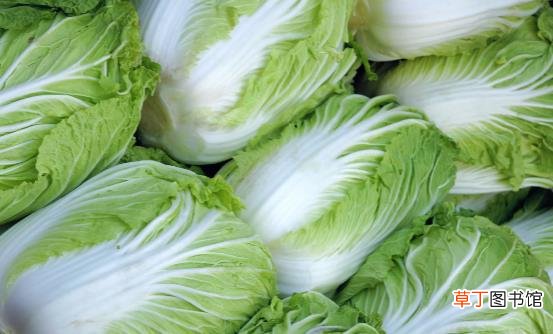 肠胃不好可以吃些什么调理 胃功能下降需要远离的食物