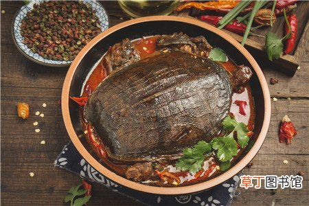 孕前吃了易生男孩的4食物