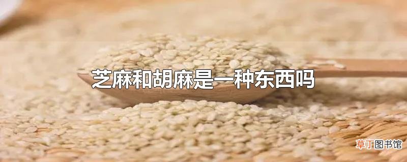 芝麻和胡麻是一种东西吗
