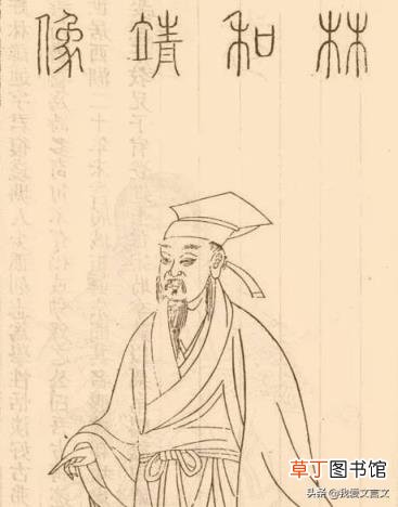 林逋养鹤文言文翻译及启示 林逋养鹤文言文翻译