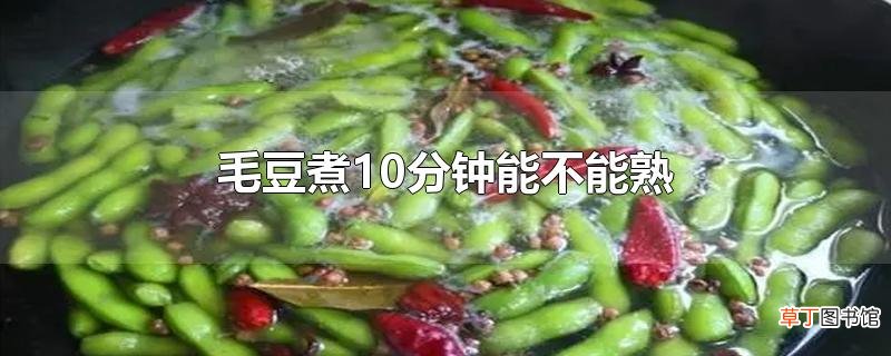 毛豆煮10分钟能不能熟