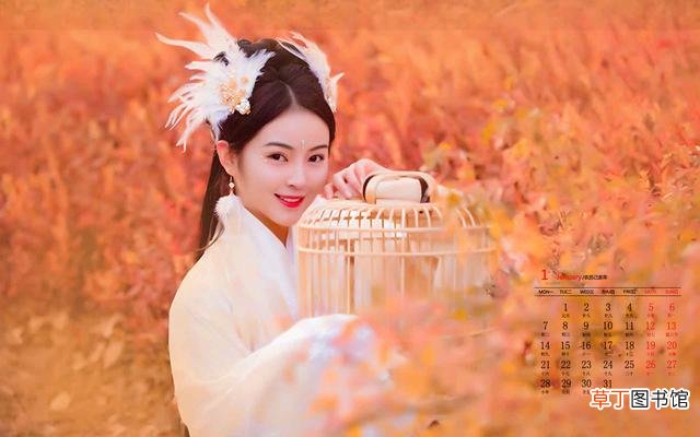 测你前世的名字是什么吧 测试前世是什么身份