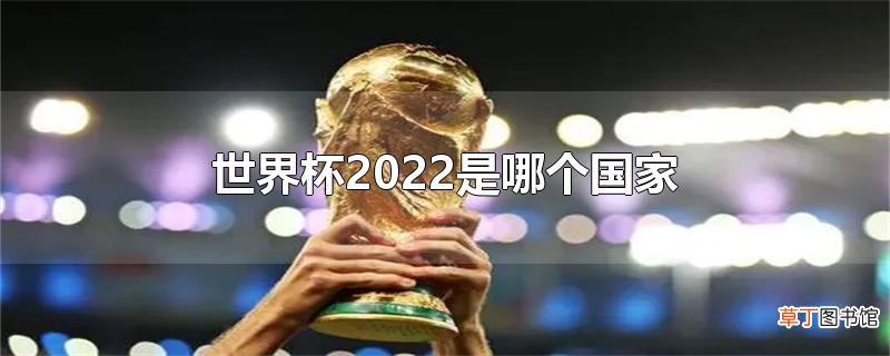 世界杯2022是哪个国家