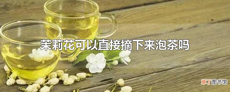 茉莉花可以直接摘下来泡茶吗