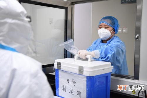 安徽辽宁疫情源头 安徽辽宁病例病毒基因序列相同