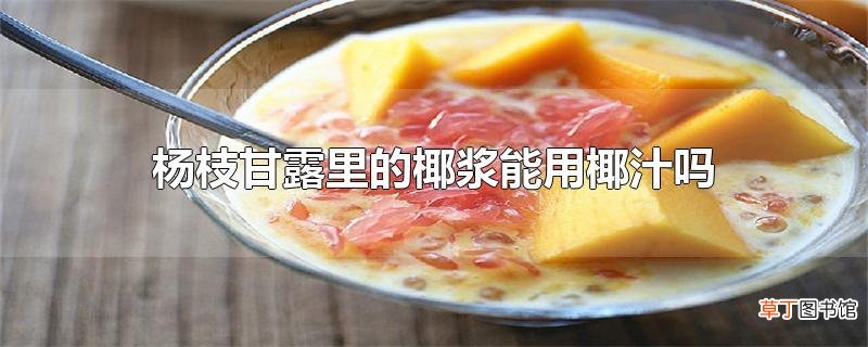 杨枝甘露里的椰浆能用椰汁吗