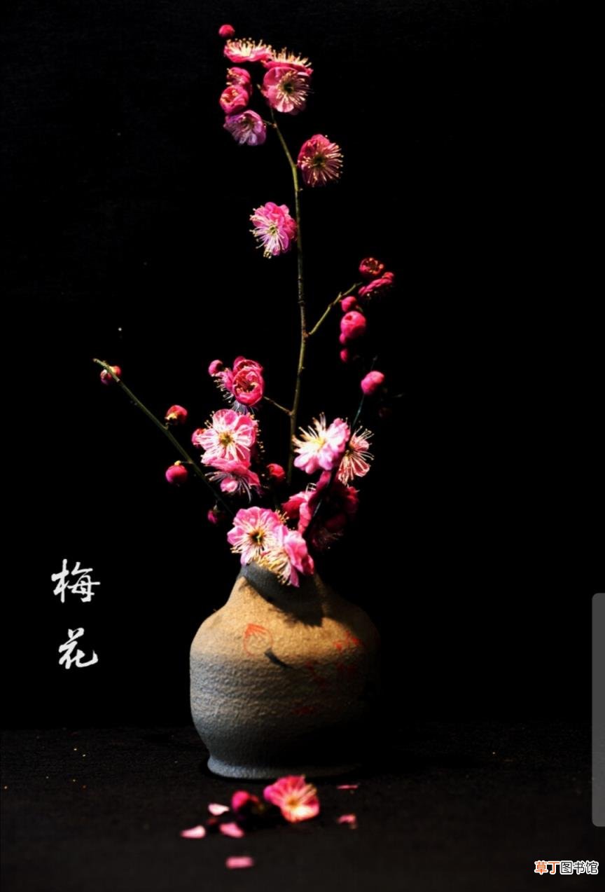 描写读书的诗句古诗大全 关于书的诗句古诗有哪些
