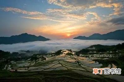 描写读书的诗句古诗大全 关于书的诗句古诗有哪些