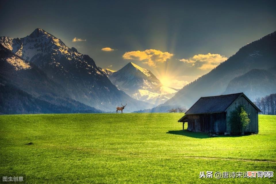 描写读书的诗句古诗大全 关于书的诗句古诗有哪些
