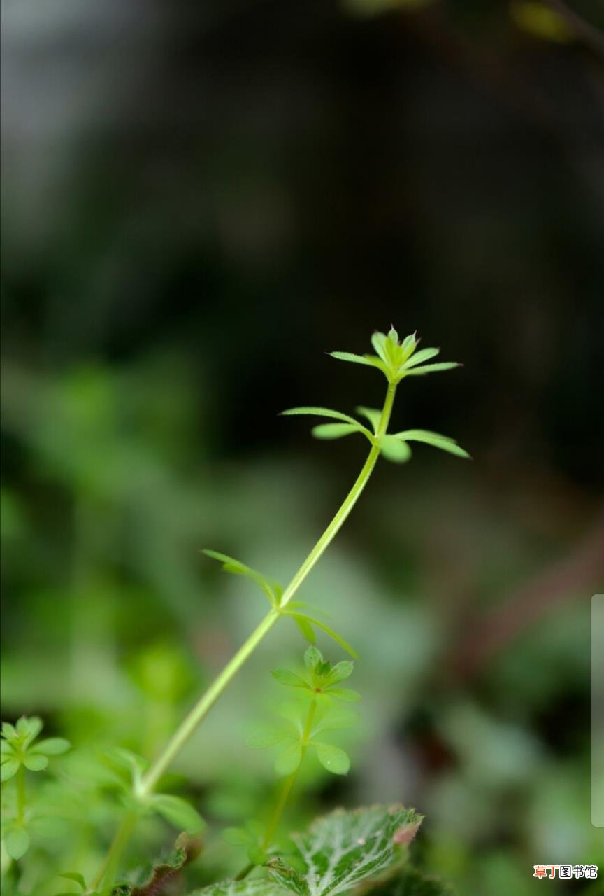 描写读书的诗句古诗大全 关于书的诗句古诗有哪些
