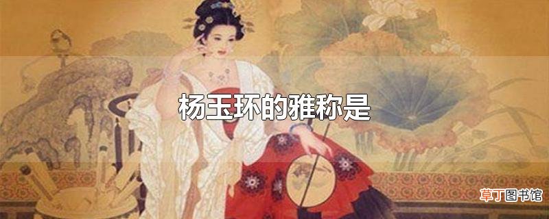 杨玉环的雅称是