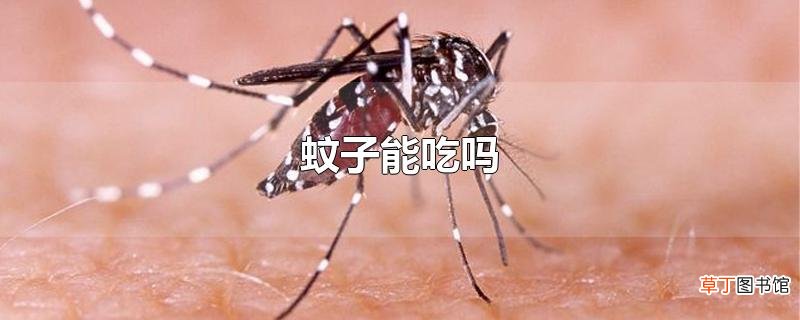 蚊子能吃吗