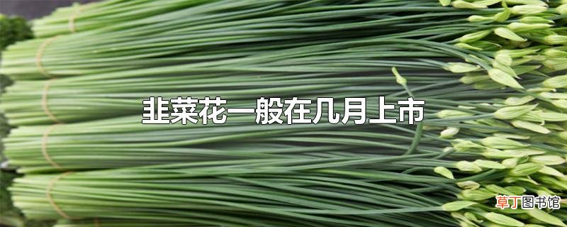 韭菜花一般在几月上市