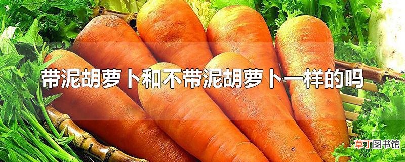 带泥胡萝卜和不带泥胡萝卜一样的吗