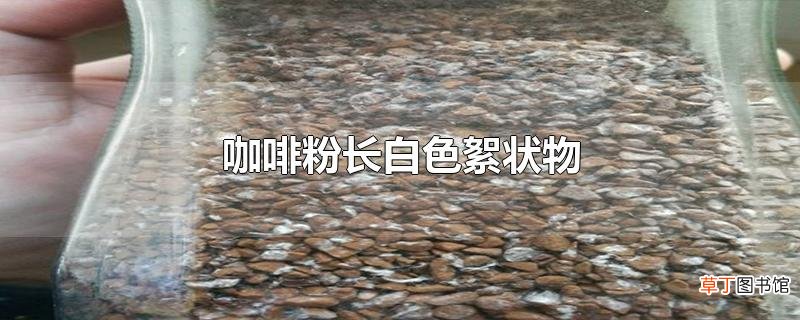 咖啡粉长白色絮状物
