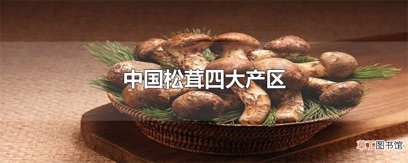 中国松茸四大产区